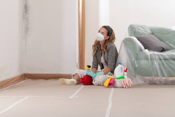 Reliable Black Mold Remediation contractor in Aberdeen, MD by 24 Hour Mold Removal